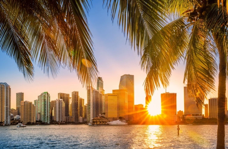 Miami | Mark Behavioral Health