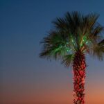 Navigating Holiday Stress & Loneliness in Florida