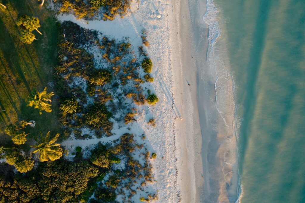 drew-darby-teHMGygdJKs-unsplash