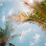 jorge-vasconez-CpeUoLVTAs8-unsplash